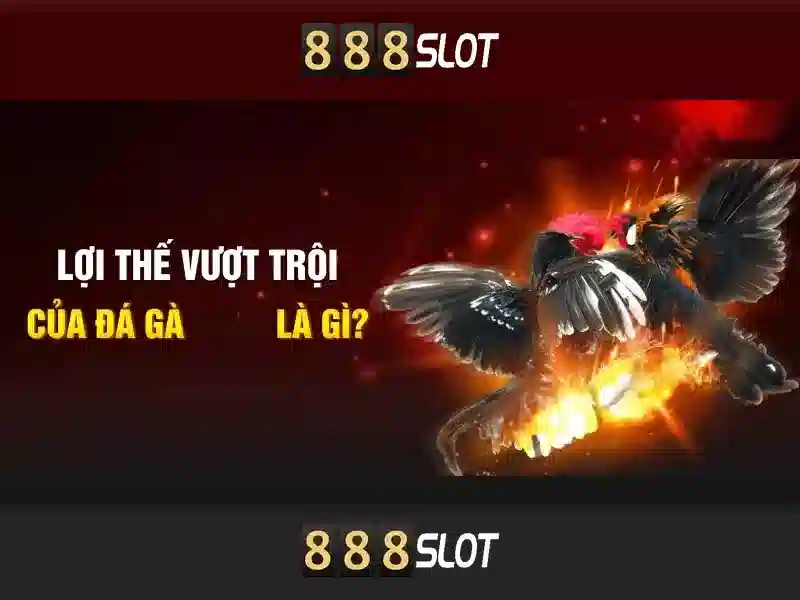 888slot - Tổng quan và đánh giá