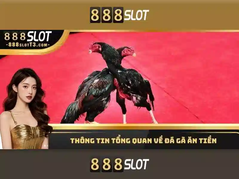888slot - Tổng quan về nền tảng casino trực tuyến