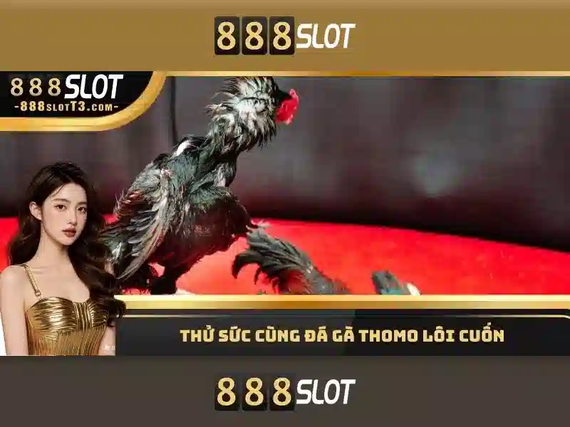 888slot - Trải nghiệm slot trực tuyến tuyệt vời trên nền tảng an toàn