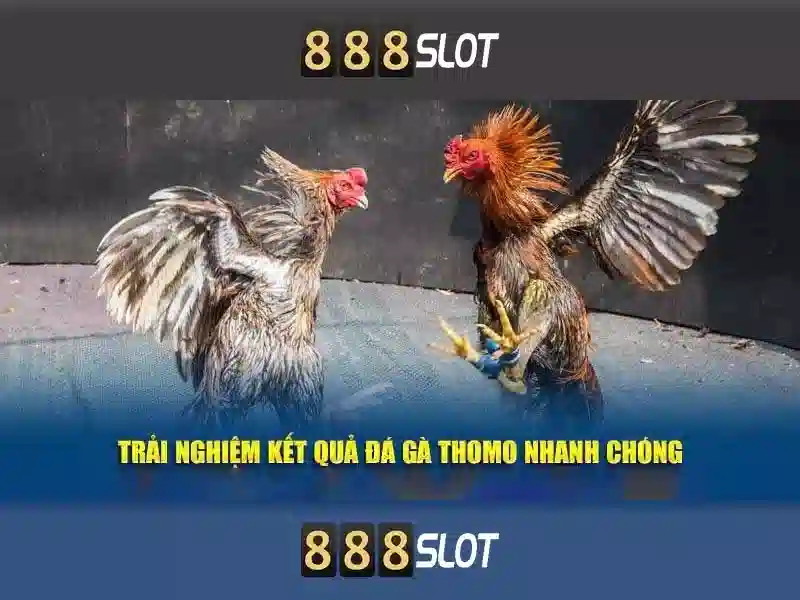 888slot - Sân chơi slot uy tín và tiện ích trực tuyến