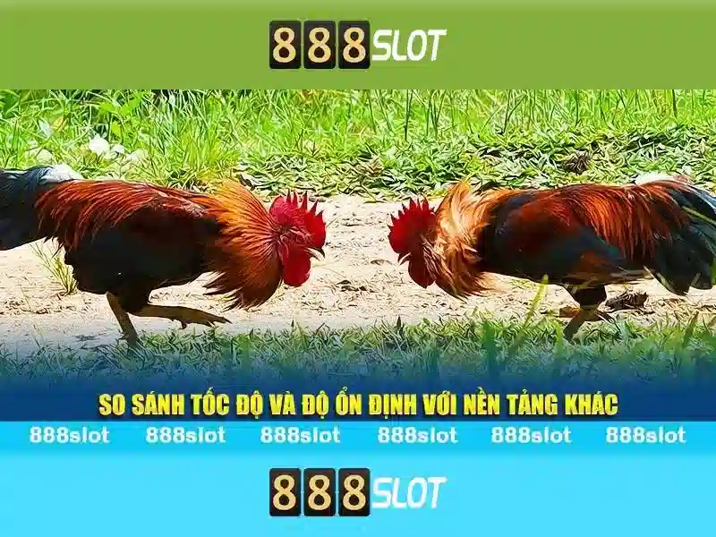 888slot - Nền tảng slot trực tuyến đỉnh cao