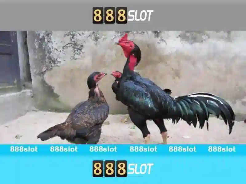 Giới thiệu về 888slot