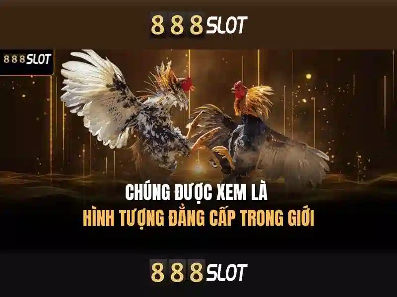 888slot - Nền tảng slot trực tuyến nổi bật