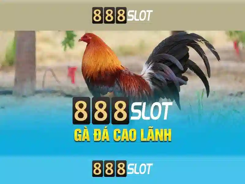 888Slot: Nền tảng casino trực tuyến đáng tin cậy tại Việt Nam