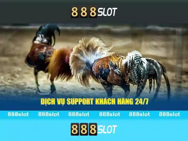GIỚI THIỆU VỀ 888SLOT