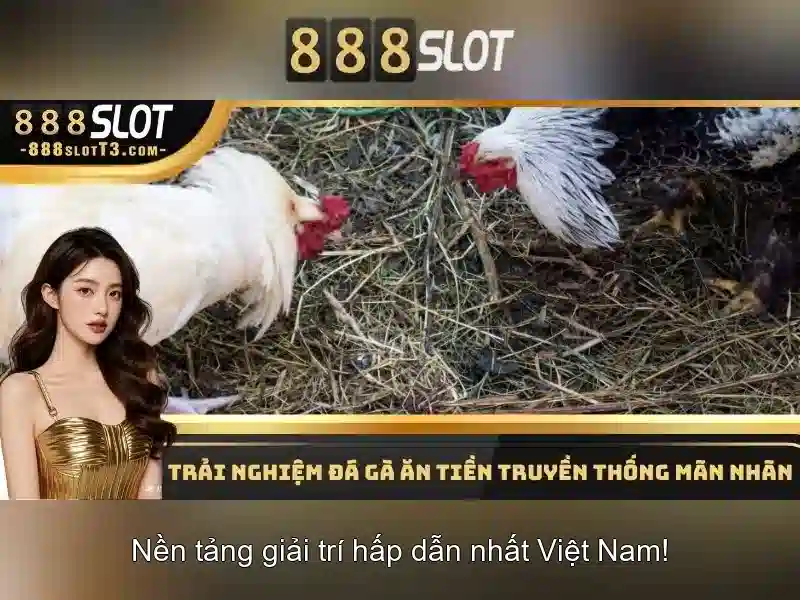 888slot - Đánh giá nền tảng máy đánh bạc trực tuyến