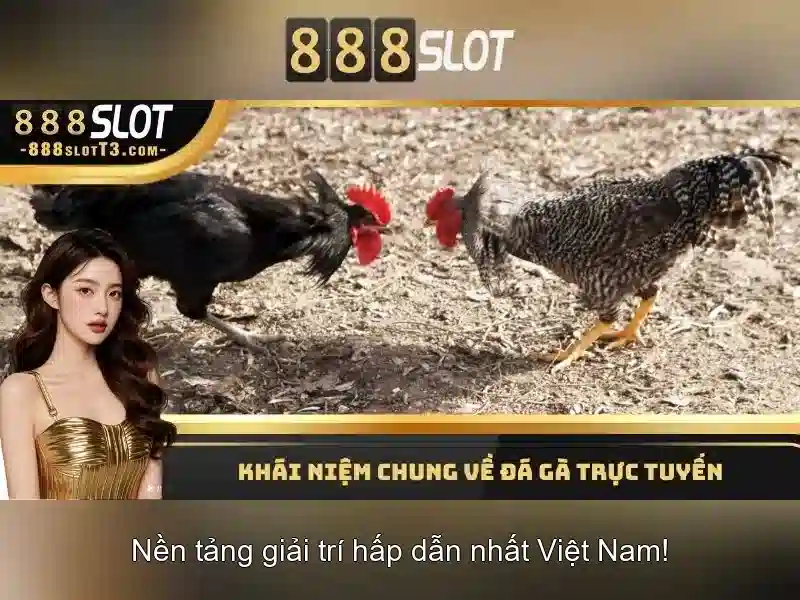 Hướng dẫn đăng ký và nạp rút