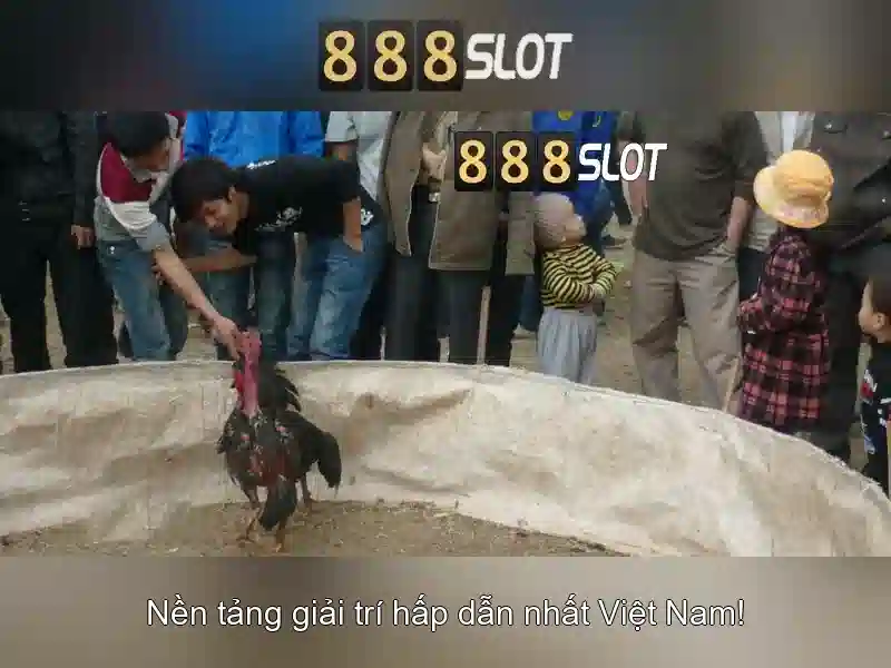 Công nghệ và trải nghiệm người dùng