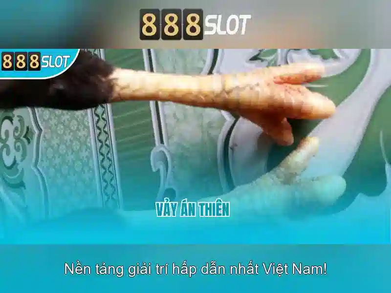 Trải nghiệm người dùng và giao diện