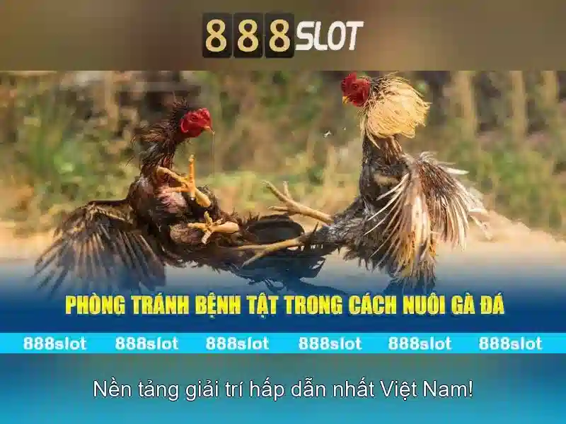 Giao diện người dùng và trải nghiệm di động