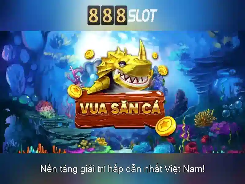 Kết luận