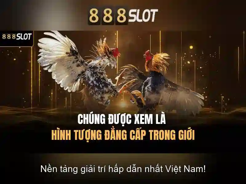 Khuyến mãi và chương trình thưởng