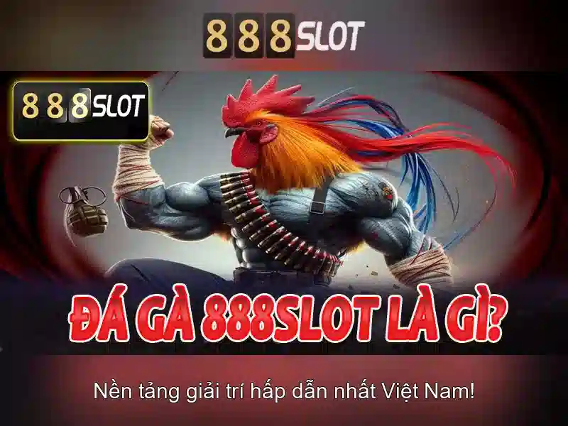Khuyến mãi và thanh toán