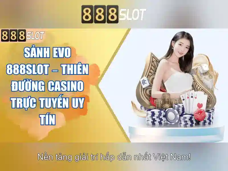 Khuyến mãi và hỗ trợ khách hàng