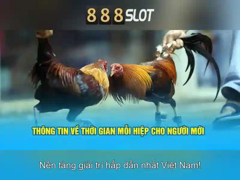 Chiến lược khuyến mãi ROI cao